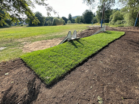 Rollrasenparadies am Schmidwöhr