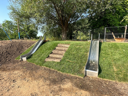 Rollrasenparadies am Schmidwöhr