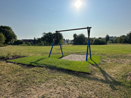 Rollrasenparadies am Schmidwöhr