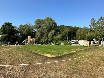 Rollrasenparadies am Schmidwöhr