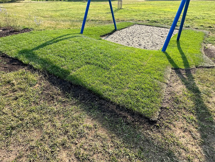 Rollrasenparadies am Schmidwöhr