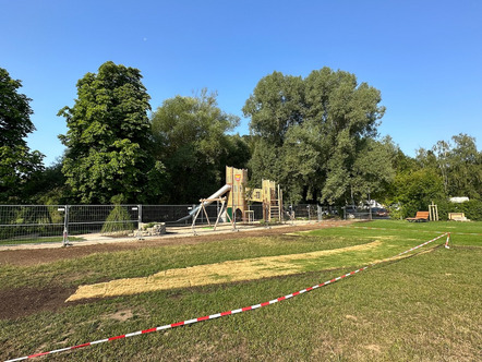 Rollrasenparadies am Schmidwöhr